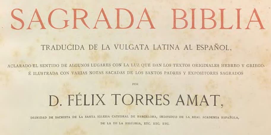 image forFelix Torres Amat